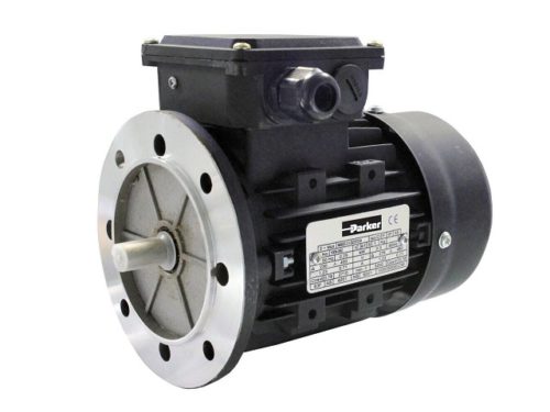 MR_Rotary_Induction_Motor